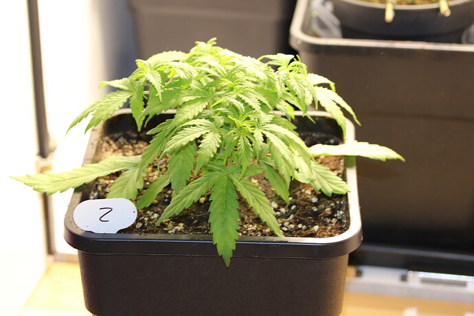 Growreport Bild 9