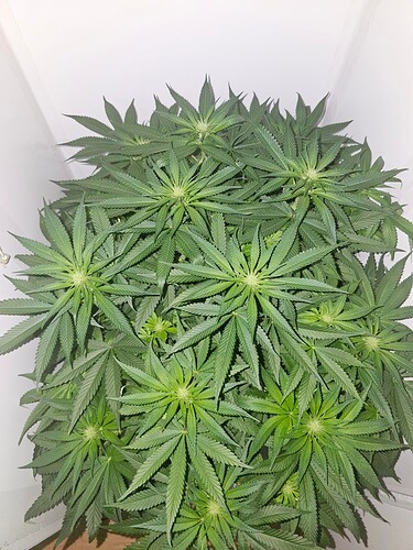 Growreport Bild 14