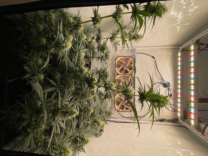 Growreport Bild 1