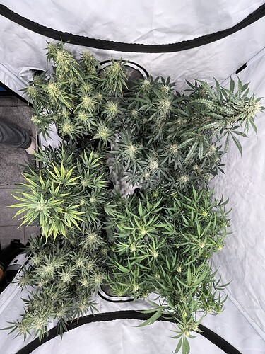 Growreport Bild 15