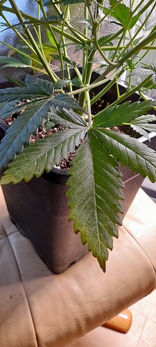 Growreport Bild 18