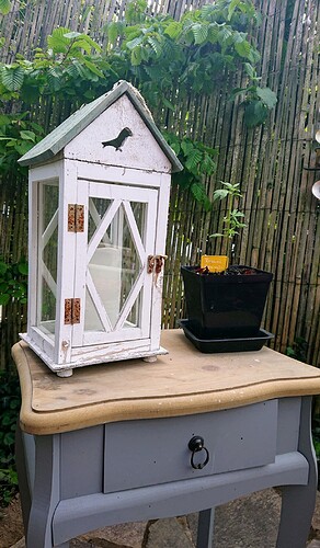 Growreport Bild 14