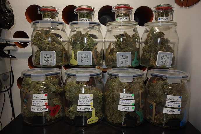 Growreport Bild 13