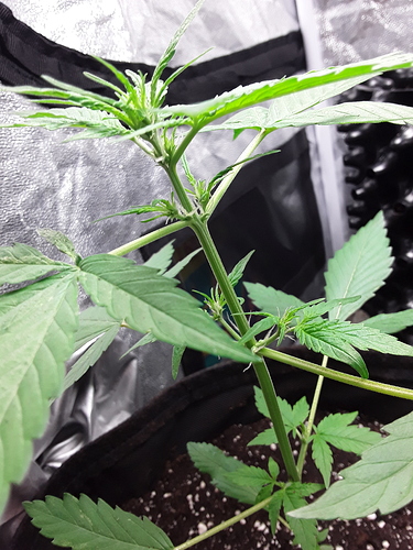 Growreport Bild 10