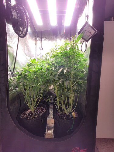 Growreport Bild 17
