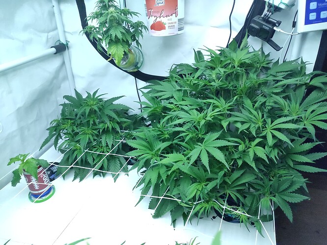 Growreport Bild 11