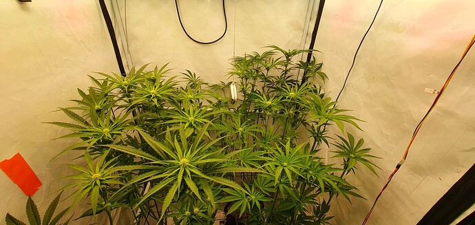 Growreport Bild 3