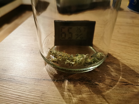 Growreport Bild 10