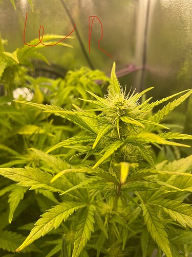Growreport Bild 23