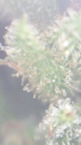 Growreport Bild 19