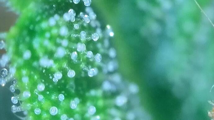 signal-2022-10-25-191504_018