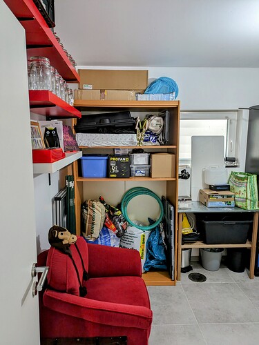 PXL_20231103_110714729~2