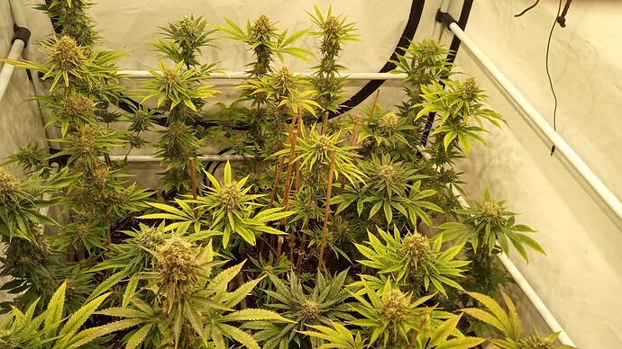 Growreport Bild 6