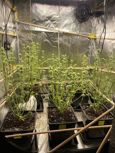 Growreport Bild 2