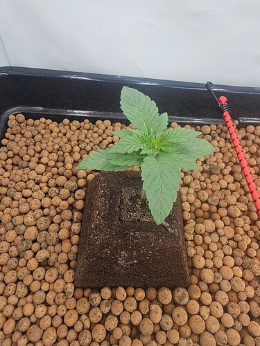 Growreport Bild 22