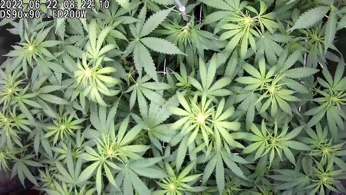 Growreport Bild 14