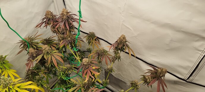 Growreport Bild 21