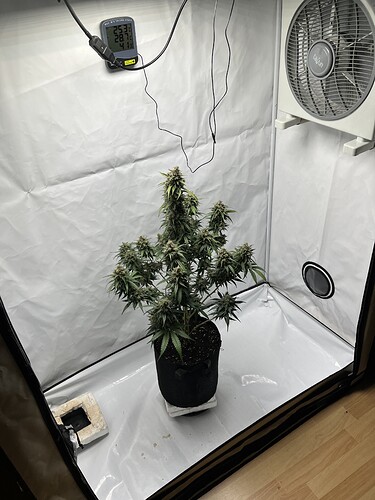 Growreport Bild 2