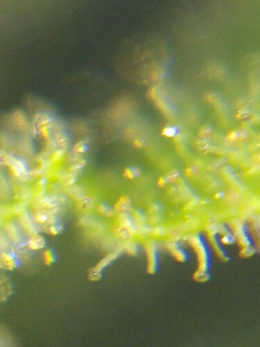 Growreport Bild 18
