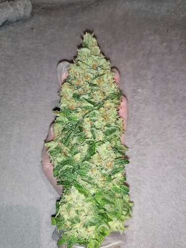 Growreport Bild 13