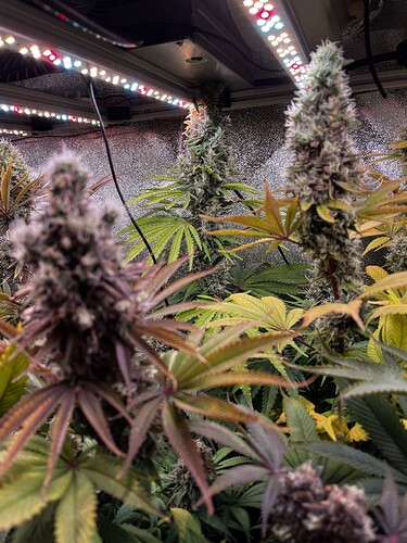Growreport Bild 6