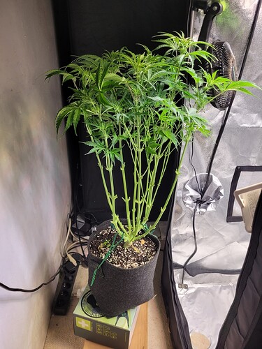 Growreport Bild 4