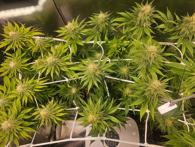 Growreport Bild 13