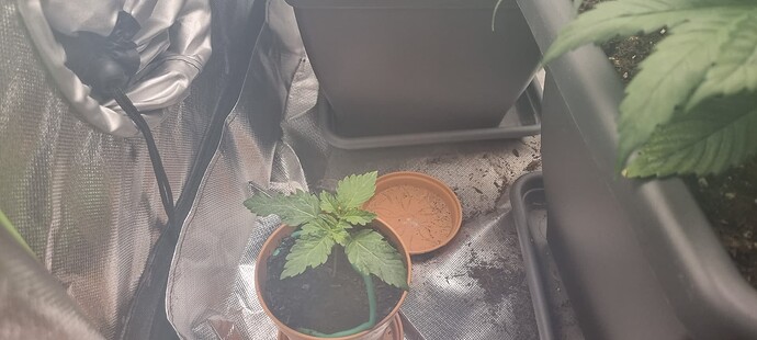Growreport Bild 2