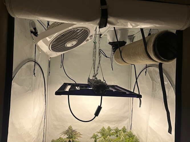 Growreport Bild 27