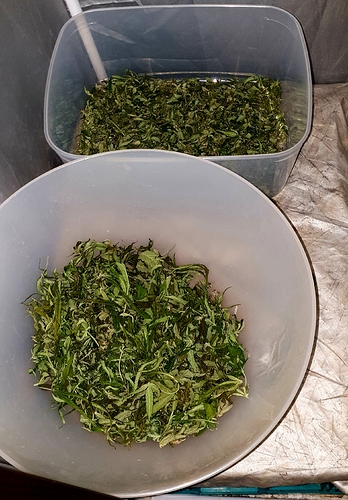 Growreport Bild 15