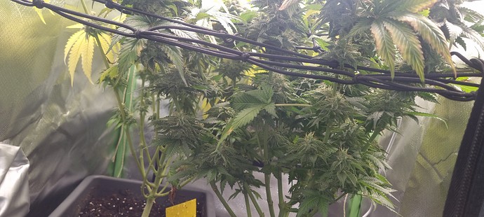 Growreport Bild 9
