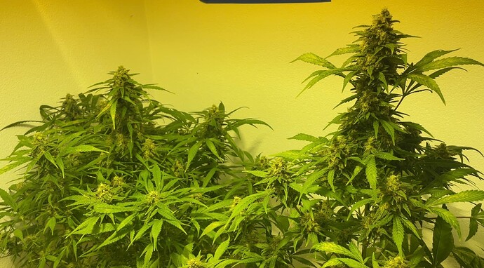 Growreport Bild 10
