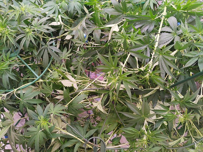 Growreport Bild 12