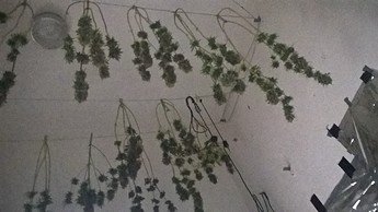 Growreport Bild 3