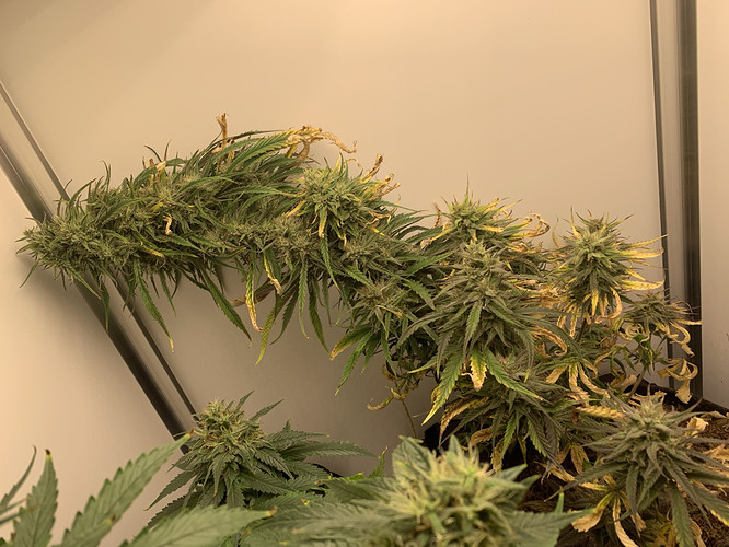 Growreport Bild 4