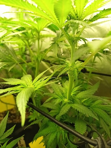 Growreport Bild 12