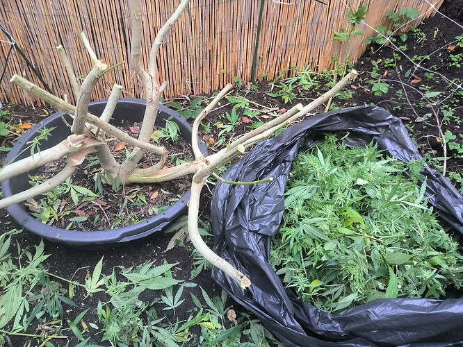 Growreport Bild 1