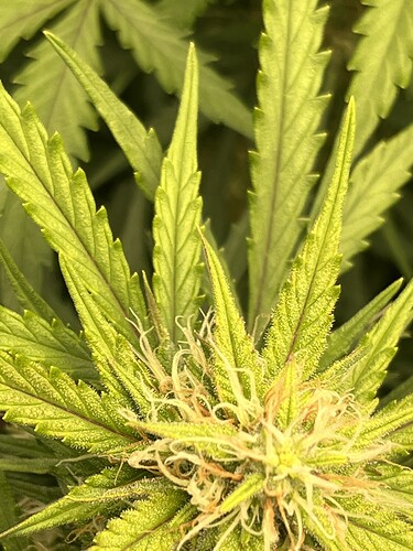 Growreport Bild 9