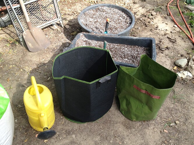 074_FastBudsZeltTag1_02