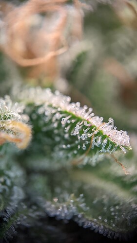 PXL_20221020_180323565