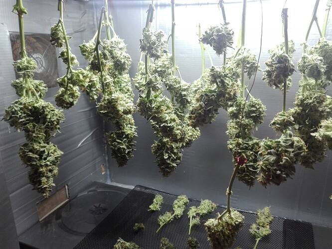 Growreport Bild 2