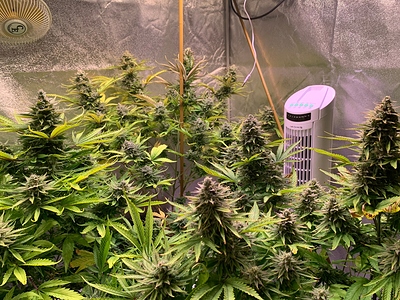 Growreport Bild 23