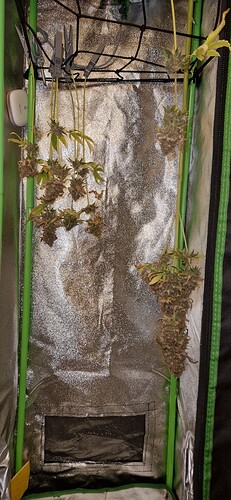 Growreport Bild 12