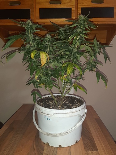 Growreport Bild 10