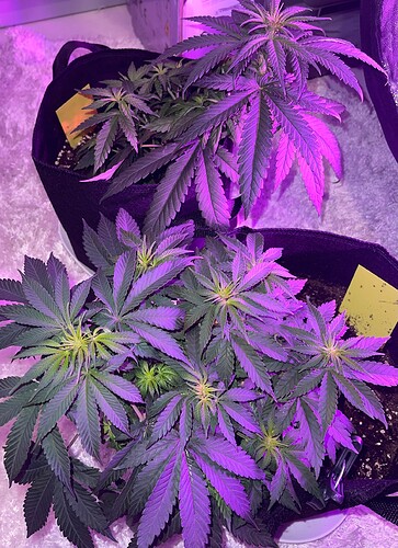Growreport Bild 14