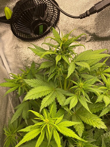 Growreport Bild 10