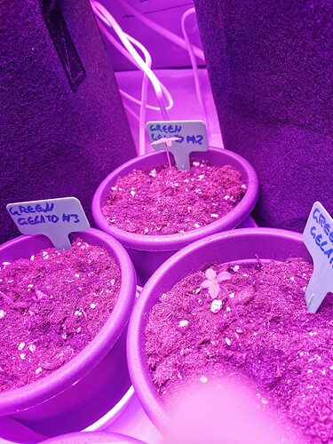 Growreport Bild 14