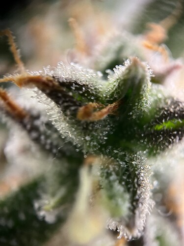 Growreport Bild 17
