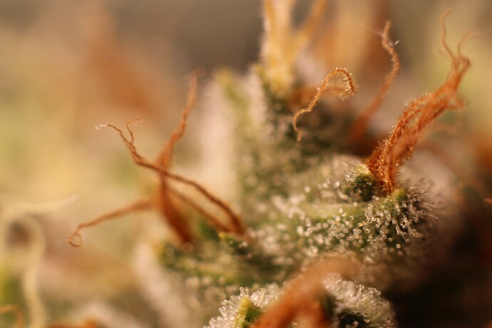 Growreport Bild 12