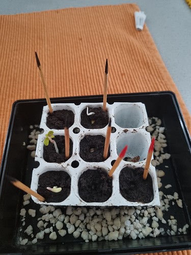Growreport Bild 20